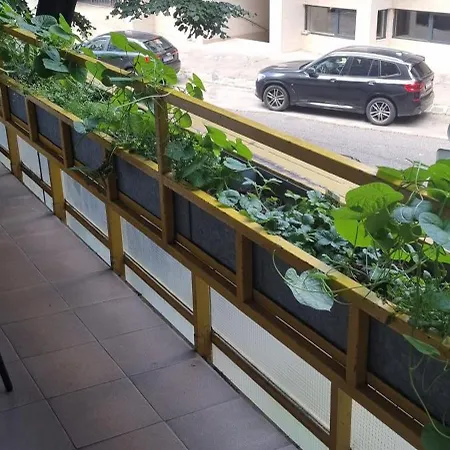 Family Apartman V Centre Mesta